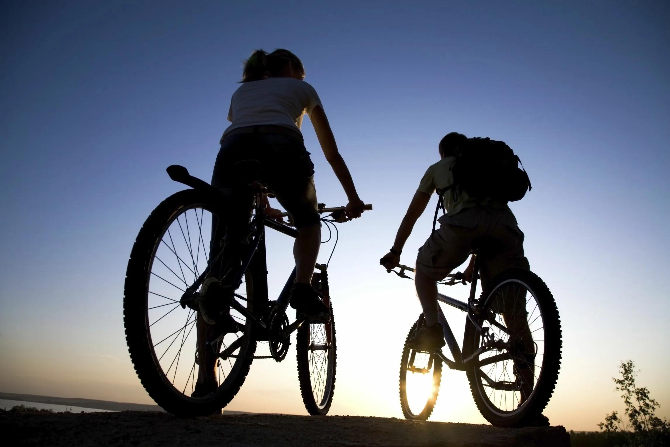 Bicycle trips with  EuroViajex : freedom on two wheels